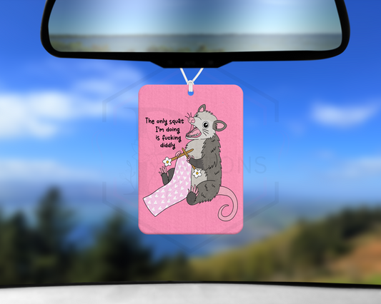 Car mirror accessories |  Diddly Squat