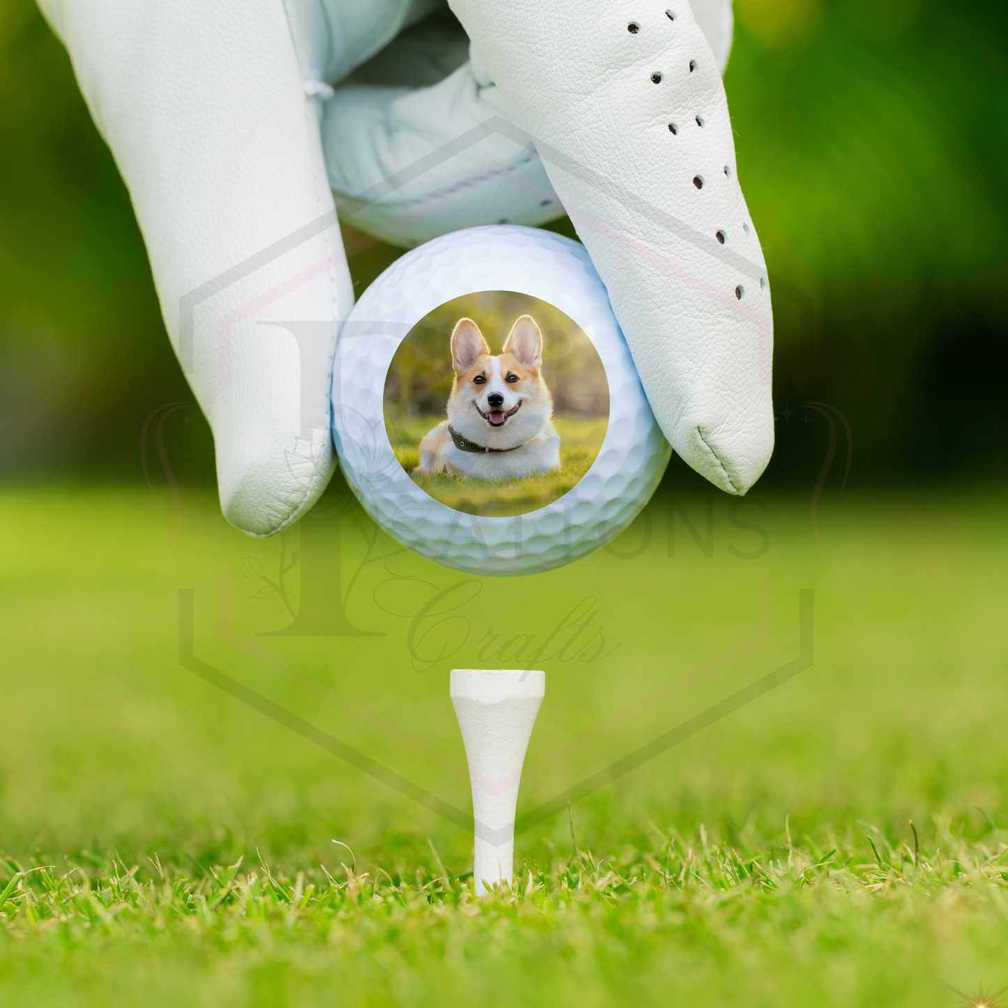 Personalised Golf balls | Photo with background | Golf ball set