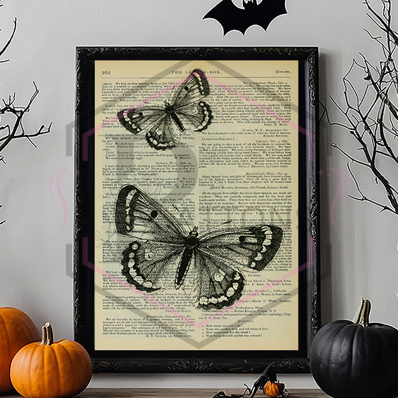 A4 Print | Moth | Unframed Print